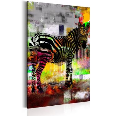 Canvas Print - Colourful Preserve 