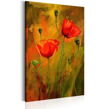 Canvas Print - The Awakening of Poppy