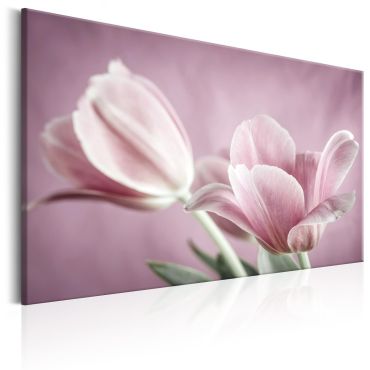 Canvas Print - Romantic Tulips