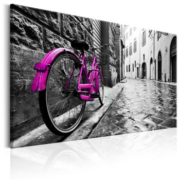 Πίνακας - Vintage Pink Bike
