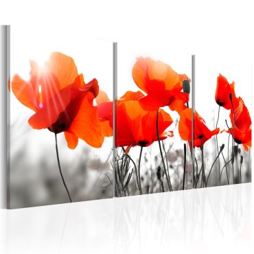 Canvas Print - Charming Poppies