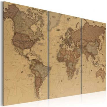 Πίνακας - Stylish World Map