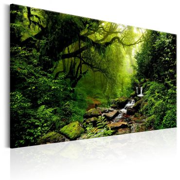 Canvas Print - Waterfall in the Forest