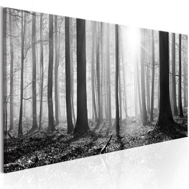 Canvas Print - Black and White Forest
