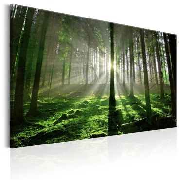 Πίνακας - Emerald Forest II