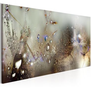 Canvas Print - Nature Sounds