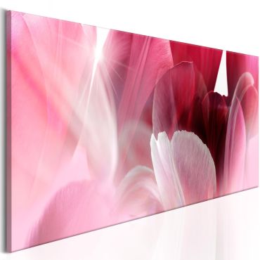 Canvas Print - Flowers: Pink Tulips