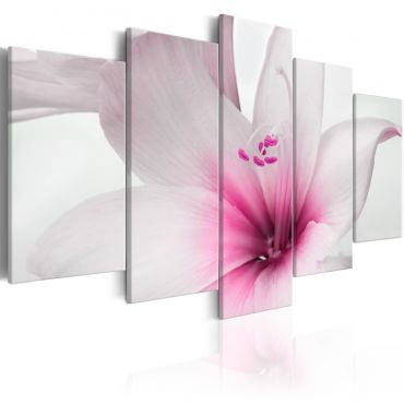Canvas Print - Amarylis: Pink Charm
