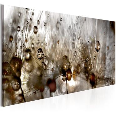 Canvas Print - Drops of Water