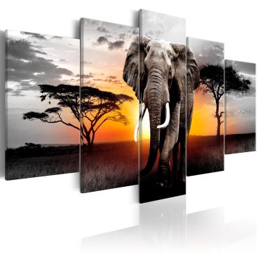 Πίνακας - Elephant at Sunset