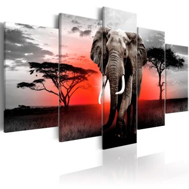 Canvas Print - Lonely Elephant