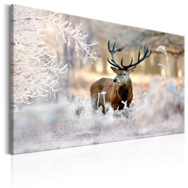 Canvas Print - Deer in the Cold