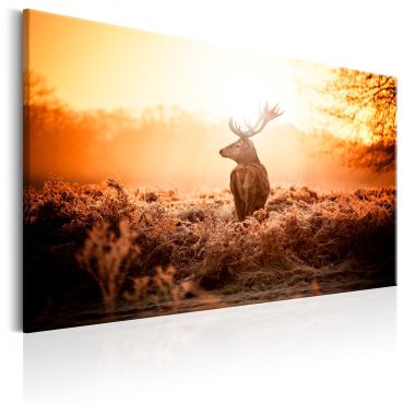 Canvas Print - Deer in the Sun