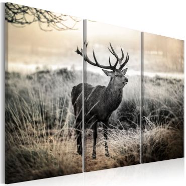 Canvas Print - Dangerous Horns I