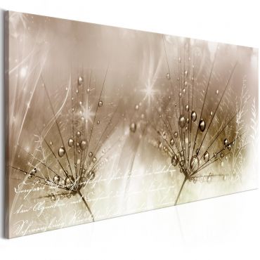 Canvas Print - Drops of Dew (1 Part) Brown Wide 100x45