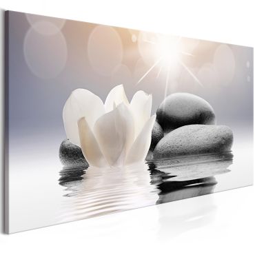 Canvas Print - Natural Lightness (1 Part) Wide 100x45