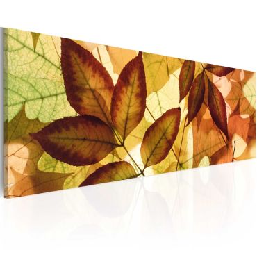 Canvas Print - collage - leaves 135x45
