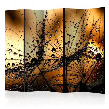 Διαχωριστικό με 5 τμήματα - Dandelions in the Rain II [Room Dividers] 225x172