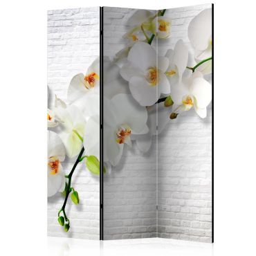 Room Divider - The Urban Orchid [Room Dividers] 135x172