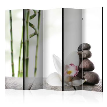 Room Divider - Harmony II [Room Dividers] 225x172