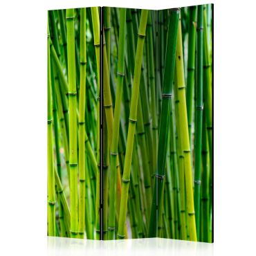 Διαχωριστικό με 3 τμήματα - Bamboo Forest [Room Dividers] 135x172