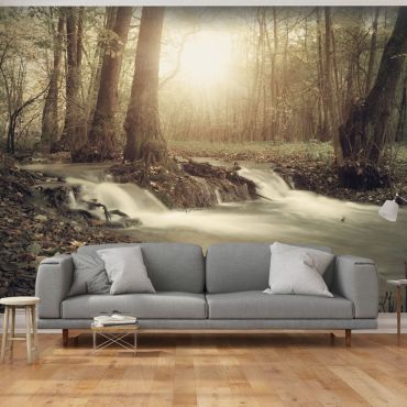 Wallpaper - Forest Cascade