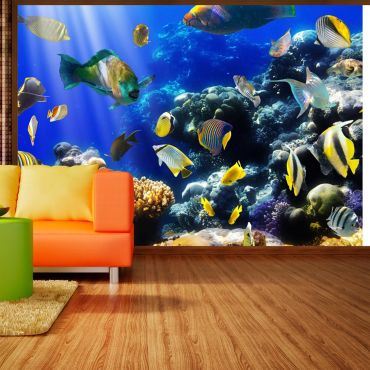 Wallpaper - Underwater adventure