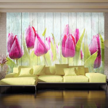 Φωτοταπετσαρία - Tulips on white wood