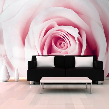 Wallpaper - Rose maze