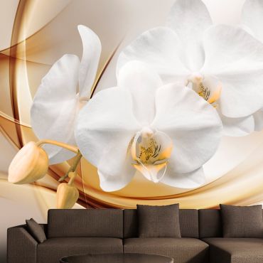 Wallpaper - Orchid blossom