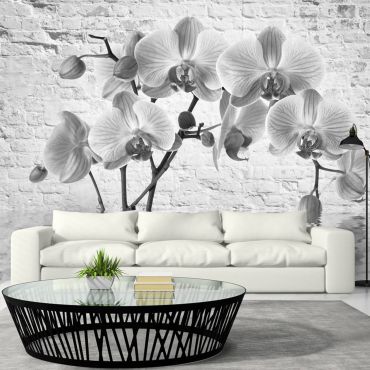 Wallpaper - Orchid in Shades of Gray