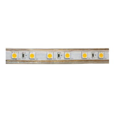 LED 505060220VNW