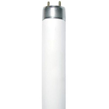 Λαμπτήρας Φθορίου G13 Fluorescent 36W 4000K T8 Diolamp