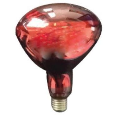 Incandescent lamp E27 Ruby 250W Red