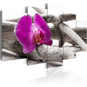 Table - Orchid on beach