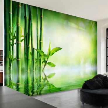 Self-adhesive photo wallpaper - Bamboo Grove