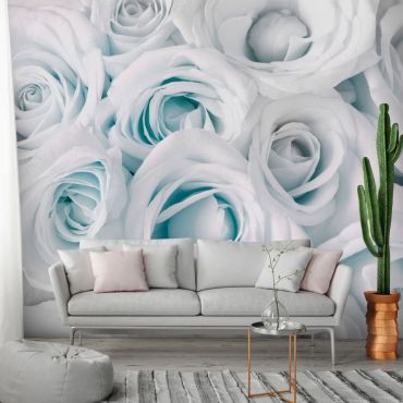 Self-adhesive photo wallpaper - Satin Rose (Turquoise)