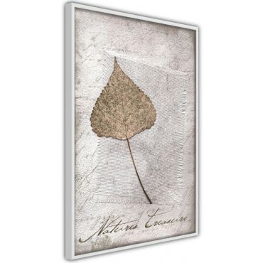 Αφίσα - Dried Leaf