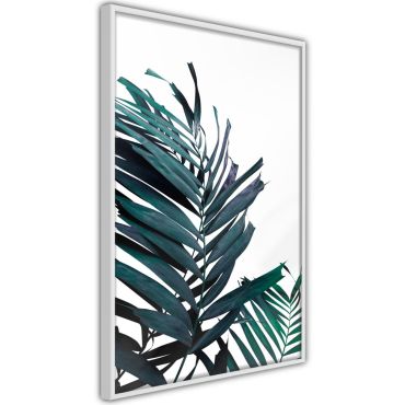 Αφίσα - Evergreen Palm Leaves