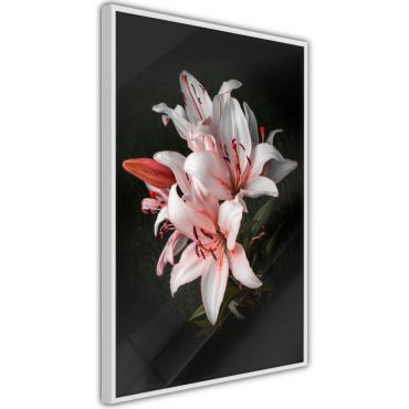 Αφίσα - Pale Pink Lilies