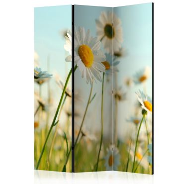3-part divider - Daisies - spring meadow [Room Dividers]