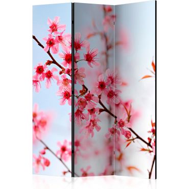 3-part divider - Symbol of Japan - sakura flowers [Room Dividers]
