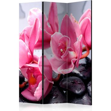 Διαχωριστικό με 3 τμήματα - Orchid flowers with zen stones [Room Dividers]