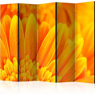Separator with 5 sections - Yellow gerbera daisies II [Room Dividers]