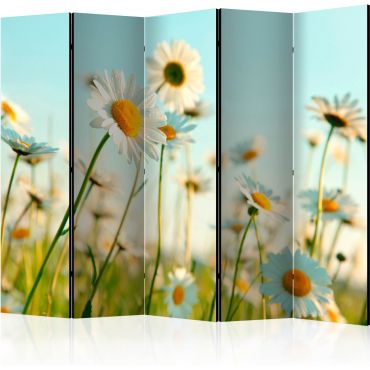 5-part divider - Daisies - spring meadow III [Room Dividers]
