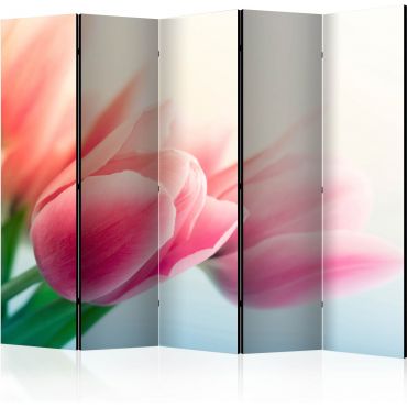 Partition with 5 sections - Spring and tulips II [Room Dividers]