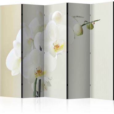 5-part divider - White orchid II [Room Dividers]