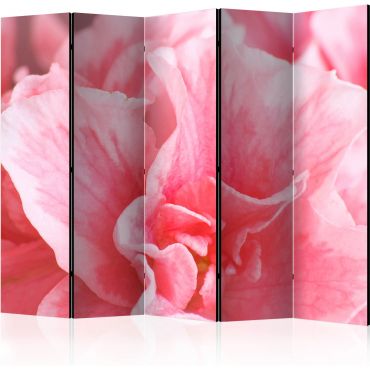 Separator with 5 sections - Pink azalea flowers II [Room Dividers]