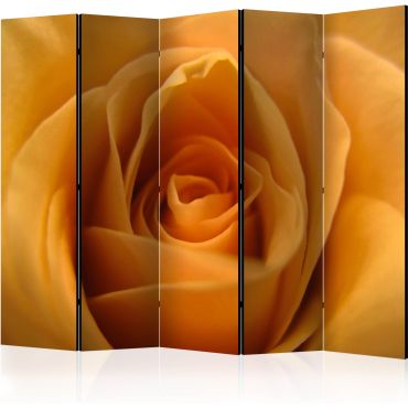 Partition with 5 sections - Yellow rose - a symbol of friendship II [Room Dividers]