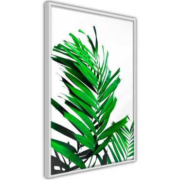 Αφίσα - Emerald Palm